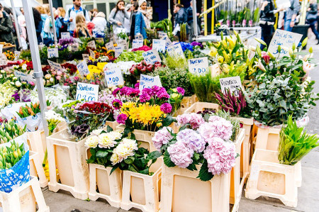 Garden Shop Selling Flowers
