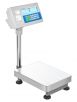 BCT Advanced Label Printing Scales-BCT 65A