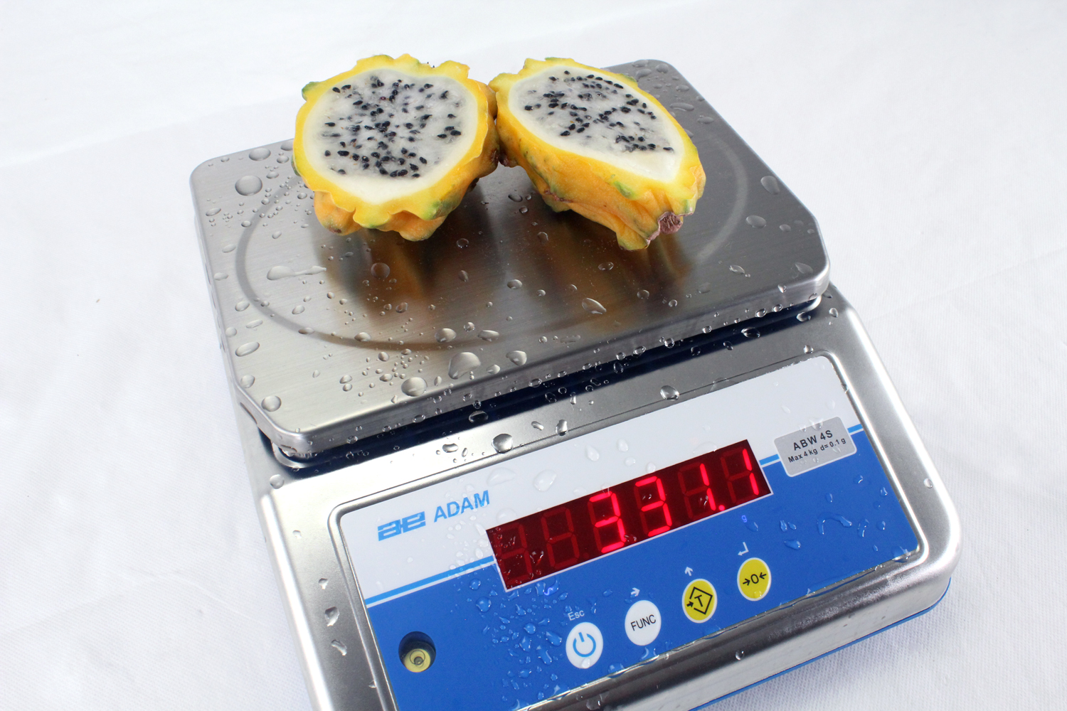 IP68 rated food scales